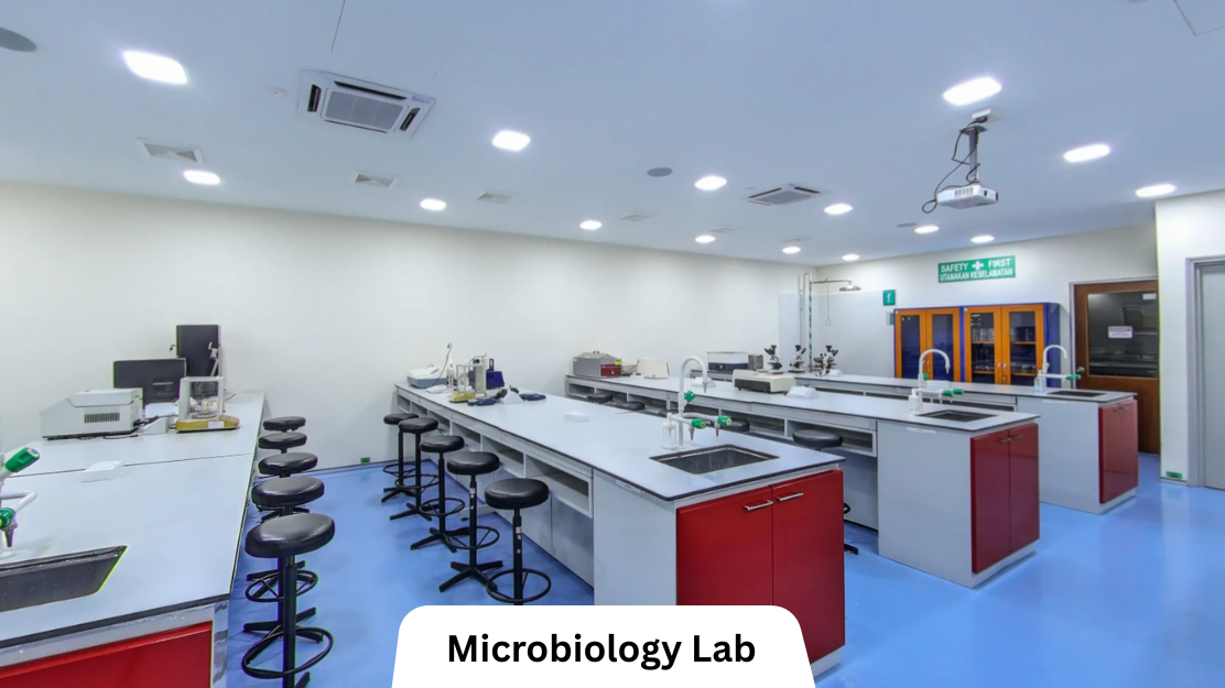 Lincoln University College feature image